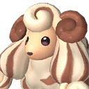 Woolipop-terra